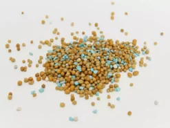 Outdoor Accessories Osmocote Roses, Gardenias, Azaleas & Camellias Fertiliser