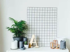 Indoor Garden Chamaedorea Elegans Parlor Palms - 85mm Full Sun