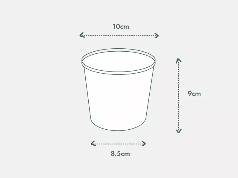 Pot + Plant Gift Box Monstera Deliciosa - Pot + Plant + Soil Birthday 14 Pot + Plant Gift Box Monstera Deliciosa - Pot + Plant + Soil Birthday