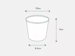 Pot + Plant Gift Box Hoya Pubicalyx - Pot + Plant + Soil