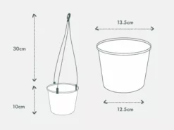 Pot + Plant Gift Box Pothos Snow Queen - Pot + Plant + Soil Easy Care Plants 33 Pot + Plant Gift Box Pothos Snow Queen - Pot + Plant + Soil Easy Care Plants