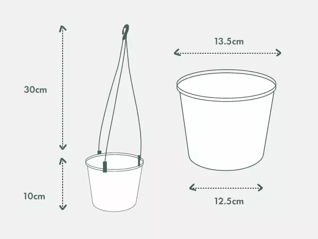 Pot + Plant Gift Box Pothos Snow Queen - Pot + Plant + Soil Easy Care Plants 17 Pot + Plant Gift Box Pothos Snow Queen - Pot + Plant + Soil Easy Care Plants