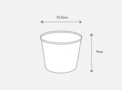 Indoor Garden Snake Plants Sansevieria Trifasciata Moonshine With Pot Option 15 Indoor Garden Snake Plants Sansevieria Trifasciata Moonshine With Pot Option