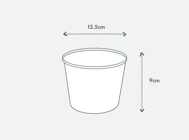 Indoor Garden Snake Plants Sansevieria Trifasciata Moonshine With Pot Option 9 Indoor Garden Snake Plants Sansevieria Trifasciata Moonshine With Pot Option