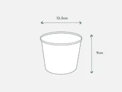 Indoor Garden Philodendron Birkin - 85mm Easy Care Plants