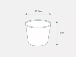 Pot + Plant Gift Box String Of Pearls - Pot + Plant Cacti & Succulents