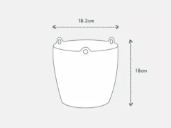 Indoor Garden Self-Watering Eco ♻️ Hanging Planter - Pot + Plant + Soil Office & Home Office