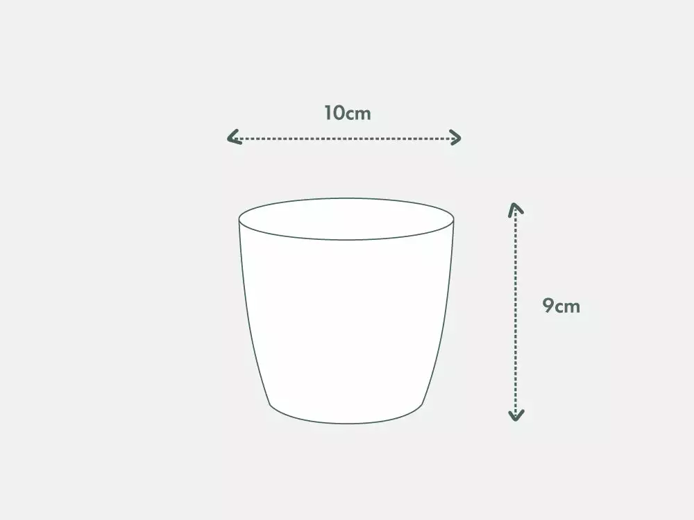 Elho Plant + Pot Multi Packs Mini Eco Gifting Pots With Cacti 9 Elho Plant + Pot Multi Packs Mini Eco Gifting Pots With Cacti