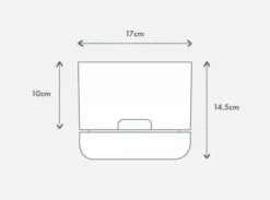 Pot + Plant Gift Box Ground Covers Schlumbergera Truncata - Pot + Plant + Soil