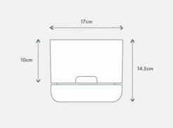 Indoor Garden Pothos 'Devils Ivy' Manjula Pothos (Epipremnum ‘Manjula’) - Pot + Plant + Soil