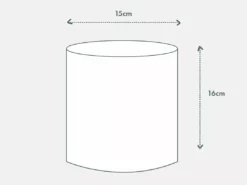 Urban Eden Sage Vessel + Potted Plant 23 Urban Eden Sage Vessel + Potted Plant