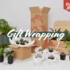 Plants In A Box Birthday Gift Wrapping
