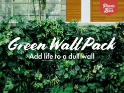 Indoor Garden Green Wall Pack - Indoors