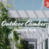 Shrubs Assorted Pack Of Outdoor Climbing Plants 2 Shrubs Assorted Pack Of Outdoor Climbing Plants