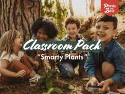 Indoor Garden The Teachers Classroom Houseplant Pack
