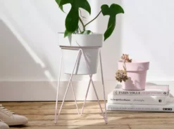 Bendo Plant Stakes & Stands 'PLANT' Indoor Plant Stand & Medium Pot Bundle