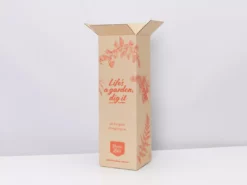 Pot + Plant Gift Box Parlor Palm + Pot + Plant + Soil Full Sun