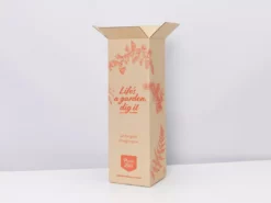 Pot + Plant Gift Box Aglaonema Thai Snowflake - Pot + Plant + Soil 29 Pot + Plant Gift Box Aglaonema Thai Snowflake - Pot + Plant + Soil