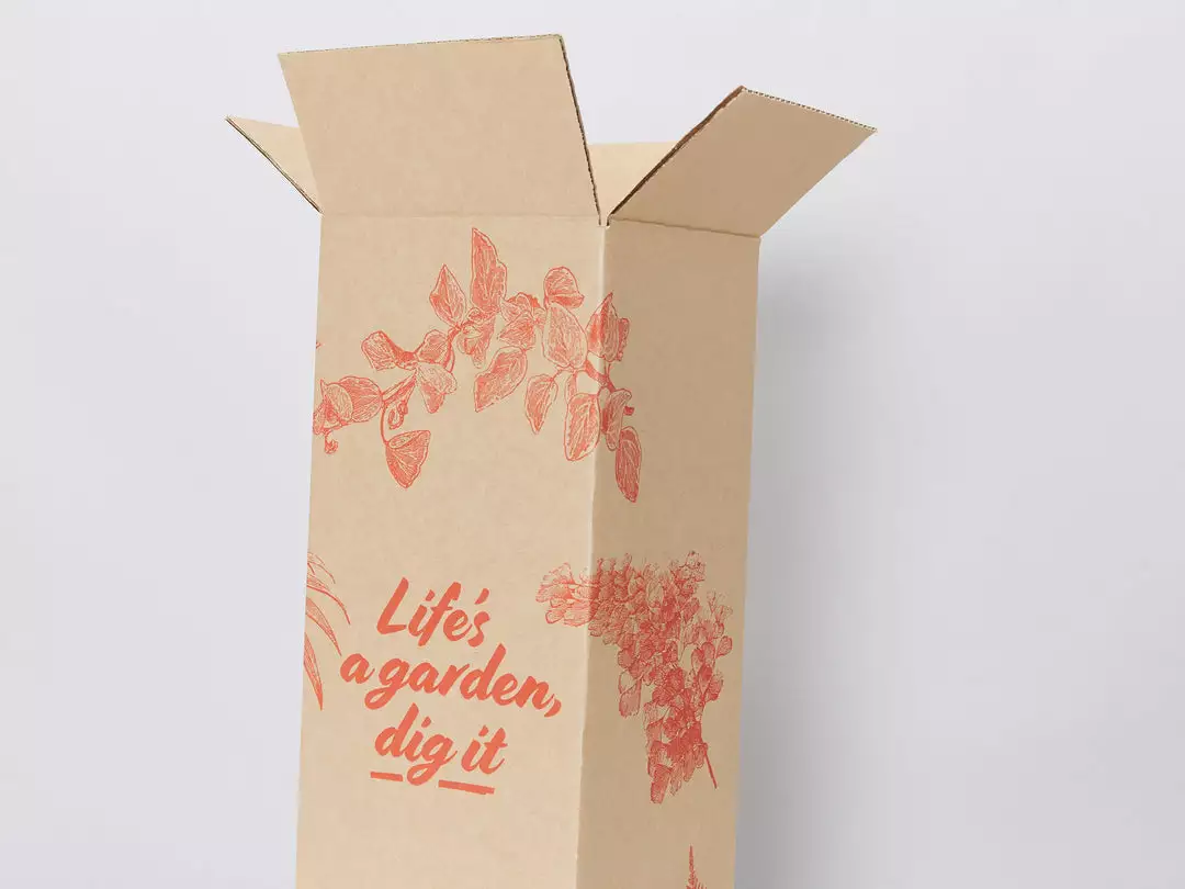 Pot + Plant Gift Box Rhaphidophora Gift Box - Pot + Plant + Soil + Double Arch Stake Easy Care Plants 10 Pot + Plant Gift Box Rhaphidophora Gift Box - Pot + Plant + Soil + Double Arch Stake Easy Care Plants