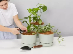 Indoor Garden Mr Kitly 3 Plants & 3 Pots - 215mm