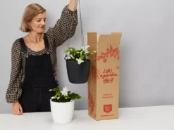 Indoor Garden Schlumbergera Truncata With Self-watering Hanging Pot Option