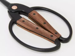 Secateurs Barebones - Small Scissors 16 Secateurs Barebones - Small Scissors