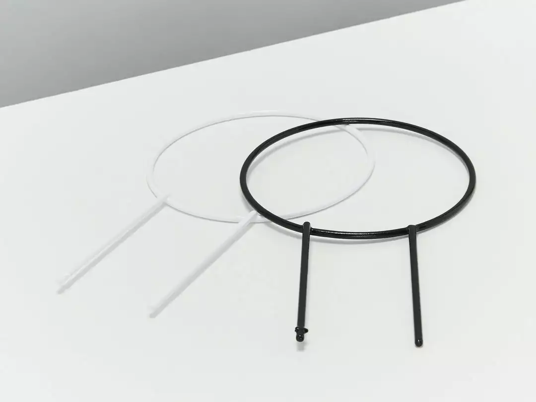 Plants In A Box The Circle-O Plant Stake Climbing Plants 8 Plants In A Box The Circle-O Plant Stake Climbing Plants