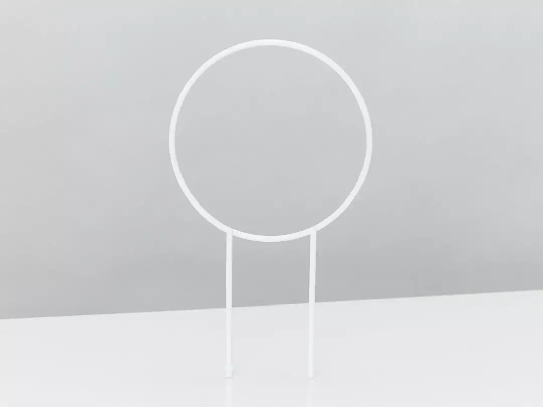 Plants In A Box The Circle-O Plant Stake Climbing Plants 5 Plants In A Box The Circle-O Plant Stake Climbing Plants