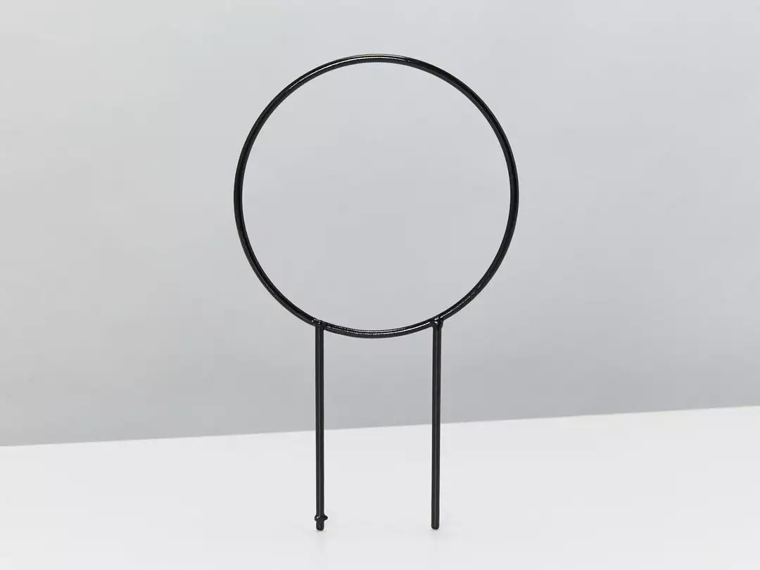 Plants In A Box The Circle-O Plant Stake Climbing Plants 4 Plants In A Box The Circle-O Plant Stake Climbing Plants