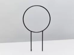 Pot + Plant Gift Box Easy Care Plants DIY Houseplant Gift Box - Includes Stake