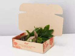 Indoor Garden Mystery Houseplant Box 85mm