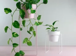 Bendo Plant Stakes & Stands 'TALL' Indoor Plant Stand & Medium Pot Bundle