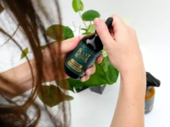 The Plant Runner Indoor Plant Care Pack Birthday