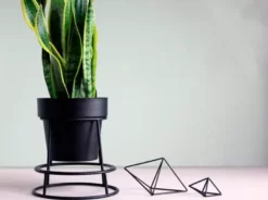 Bendo Plant Stakes & Stands 'POTPLANT' Indoor Plant Stand & Medium Pot Bundle