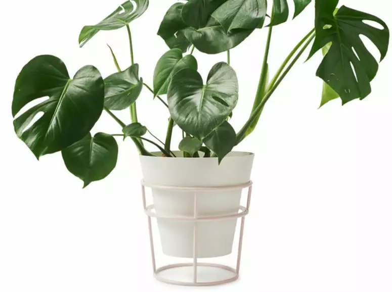 Bendo Plant Stakes & Stands 'POTPLANT' Plant Stand & Large Pot Bundle 4 Bendo Plant Stakes & Stands 'POTPLANT' Plant Stand & Large Pot Bundle