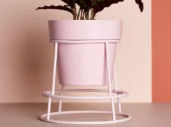 Bendo Plant Stakes & Stands 'POTPLANT' Indoor Plant Stand & Medium Pot Bundle