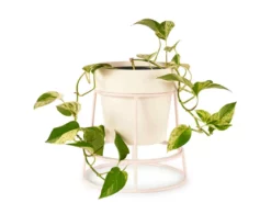 Bendo Plant Stakes & Stands 'POTPLANT' Indoor Plant Stand & Medium Pot Bundle