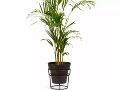 Bendo Plant Stakes & Stands 'POTPLANT' Plant Stand & Large Pot Bundle 7 Bendo Plant Stakes & Stands 'POTPLANT' Plant Stand & Large Pot Bundle