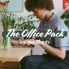 Indoor Garden Plant Packs The Office Indoor Plant Box - 85mm