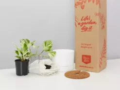 Pot + Plant Gift Box Pothos Marble Queen - Pot + Plant + Soil Pothos 'Devils Ivy' 23 Pot + Plant Gift Box Pothos Marble Queen - Pot + Plant + Soil Pothos 'Devils Ivy'