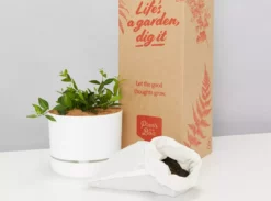 Pot + Plant Gift Box Peperomia Puteolata Diamond - Pot + Plant + Soil