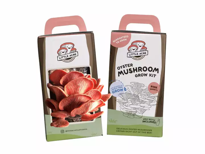 Little Acre Gourmet Mushrooms Pink Oyster Mushroom Grow Kit Gift Kits 3 Little Acre Gourmet Mushrooms Pink Oyster Mushroom Grow Kit Gift Kits