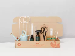 Plants In A Box Gift Kits Plant Lovers Gift Box 🌿