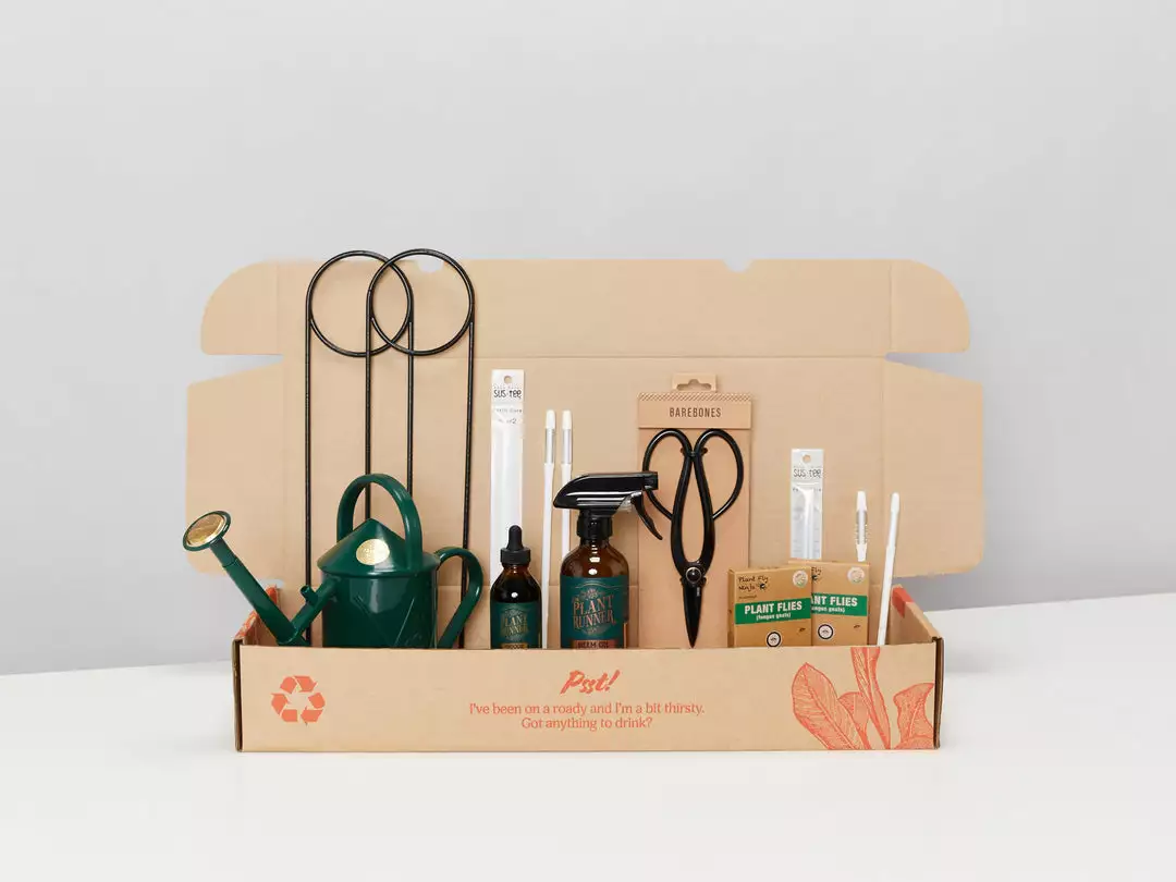 Plants In A Box Gift Kits Plant Lovers Gift Box 🌿 7 Plants In A Box Gift Kits Plant Lovers Gift Box 🌿