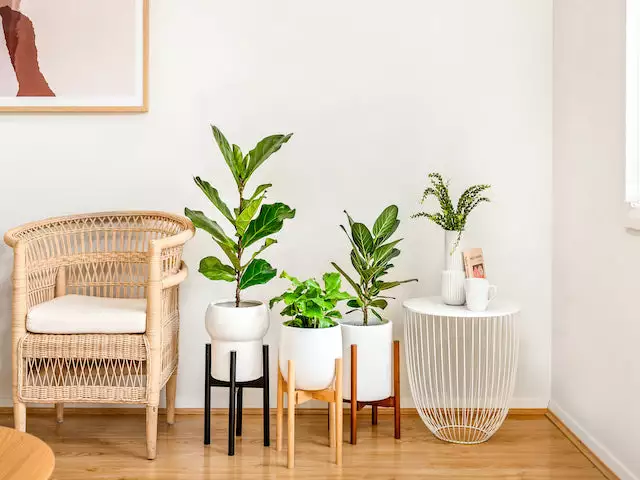 Plants In A Box Adjustable Bamboo Plant Stand - Black 4 Plants In A Box Adjustable Bamboo Plant Stand - Black