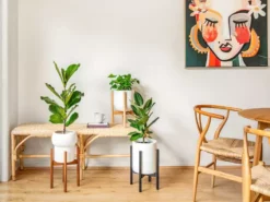 Plants In A Box Climbing Plants Adjustable Bamboo Plant Stand - Natural