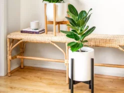 Plants In A Box Adjustable Bamboo Plant Stand - Black