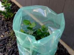 Eco Tree Protection Sleeves