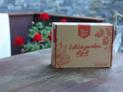 Shrubs Lomandra Spicata Full Sun 9 Shrubs Lomandra Spicata Full Sun