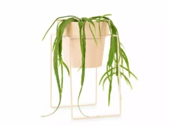 Bendo 'SHRUB' Plant Stand Mini & Small Pot Bundle Pots & Hanging Baskets